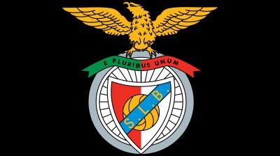 تصویر شماره 3 از آلبوم تصویر زمینه باشگاه فوتبال بنفیکا (S.L. Benfica)