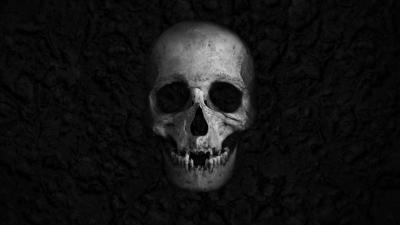 تصویر شماره 2 از آلبوم تصویر زمینه black skull