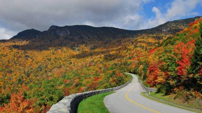 تصویر شماره 39 از آلبوم تصویر زمینه Blue Ridge Parkway