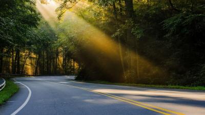 تصویر شماره 25 از آلبوم تصویر زمینه Blue Ridge Parkway