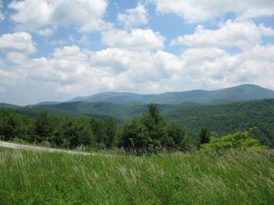 تصویر شماره 29 از آلبوم تصویر زمینه Blue Ridge Parkway