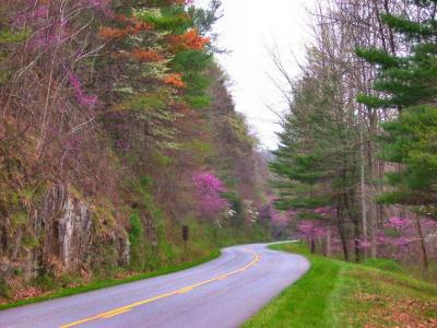 تصویر شماره 37 از آلبوم تصویر زمینه Blue Ridge Parkway