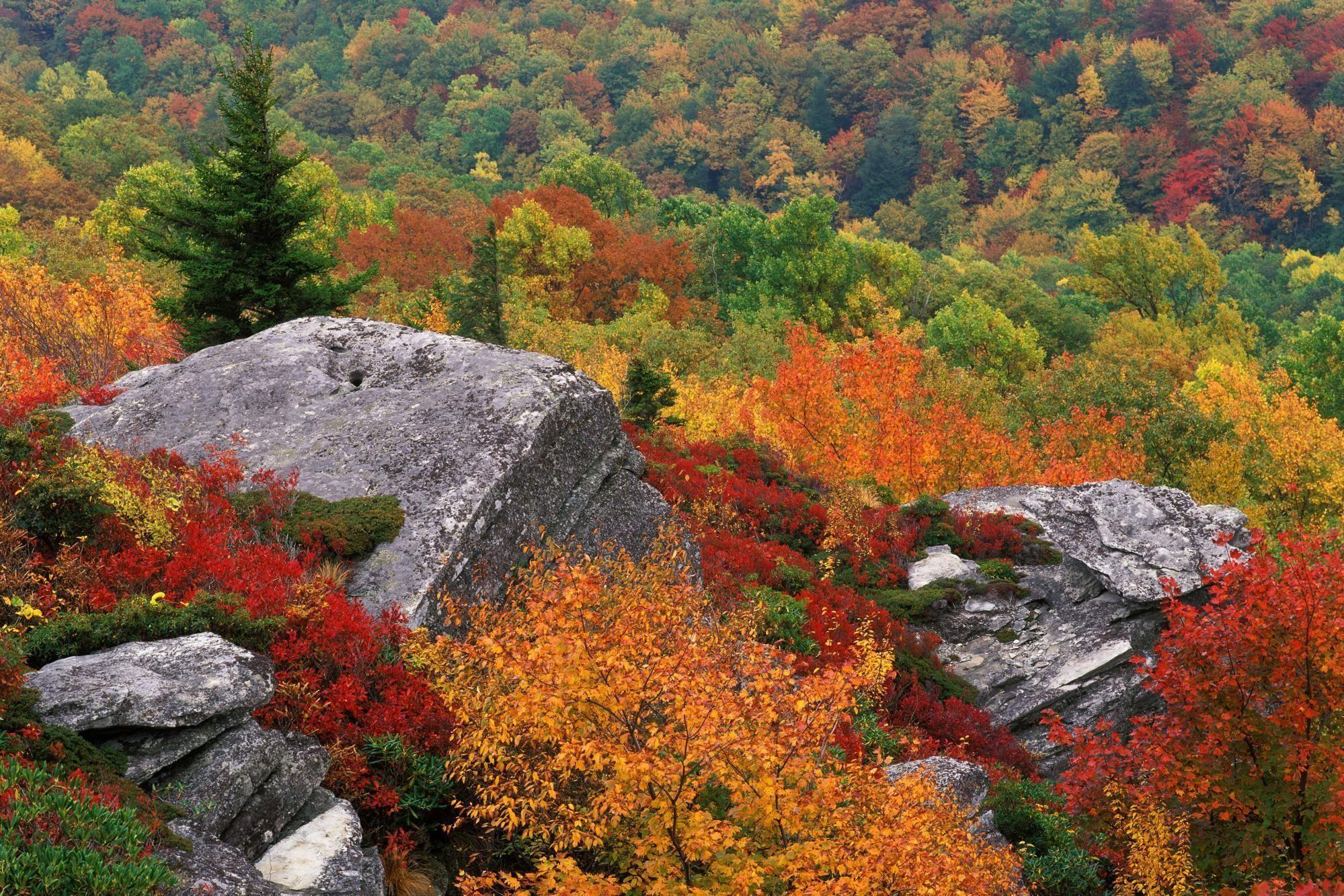 Blue Ridge Parkway