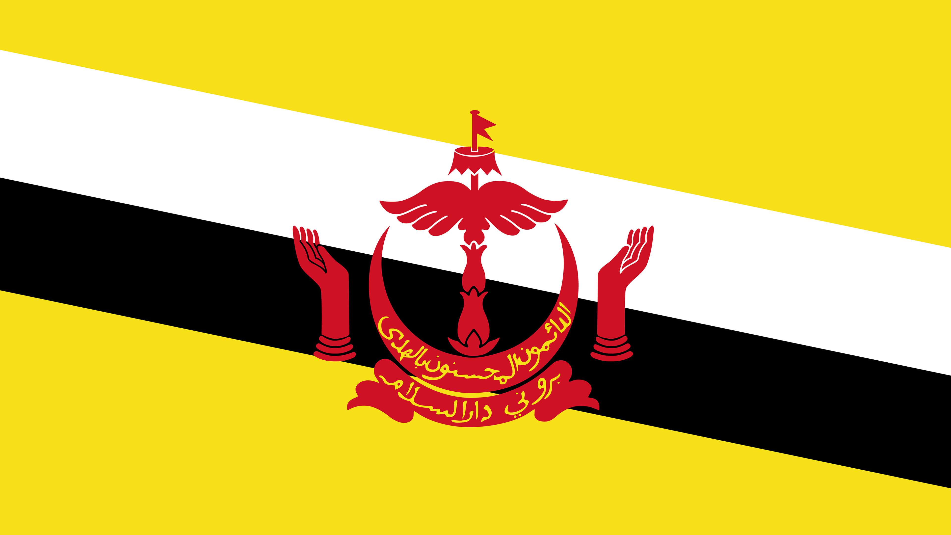 Brune Flag