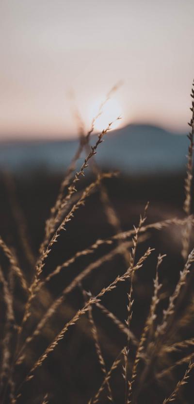 تصویر شماره 3 از آلبوم تصویر زمینه 1080x2248