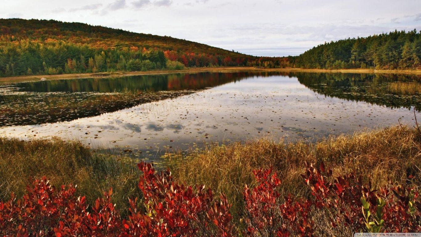 پارک ملی آکیدیا (Acadia National Park)