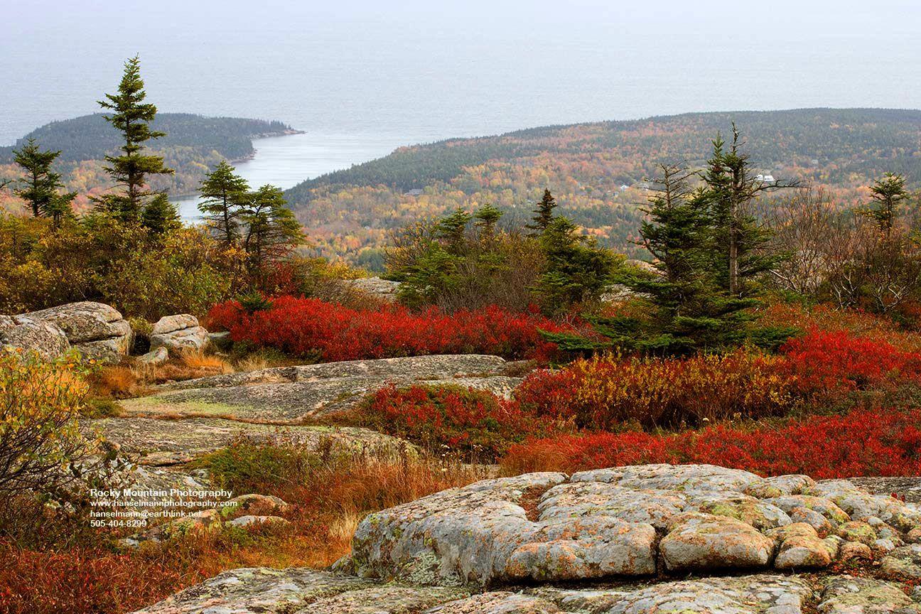 پارک ملی آکیدیا (Acadia National Park)