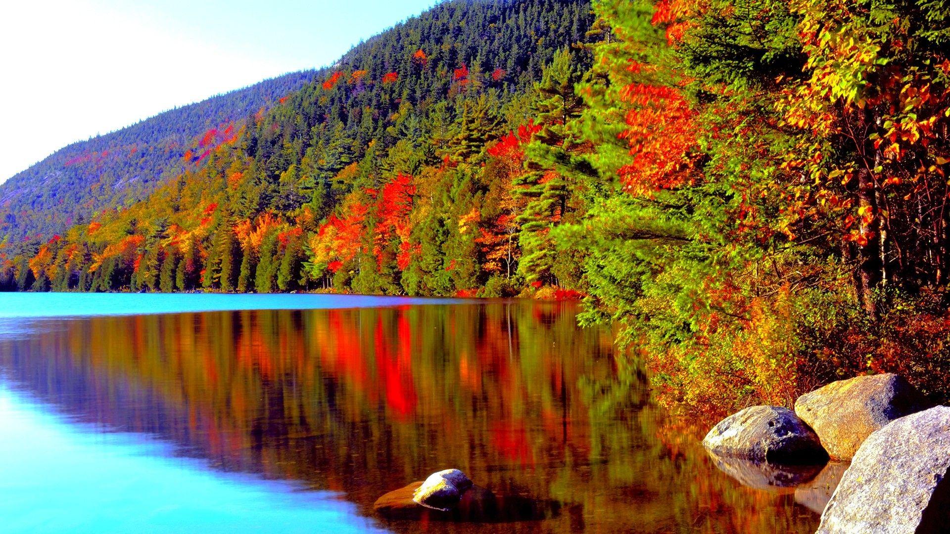 پارک ملی آکیدیا (Acadia National Park)