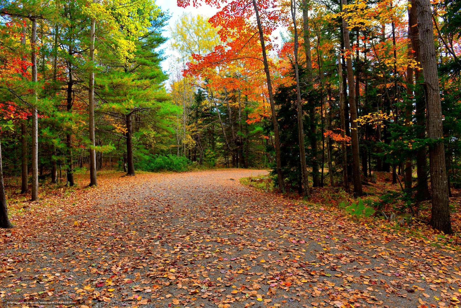 پارک ملی آکیدیا (Acadia National Park)