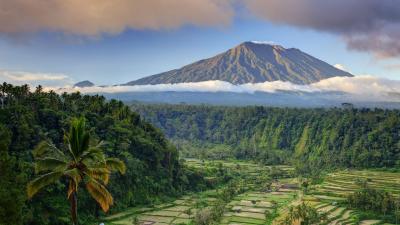 تصویر شماره 20 از آلبوم تصویر زمینه بالی (Bali)