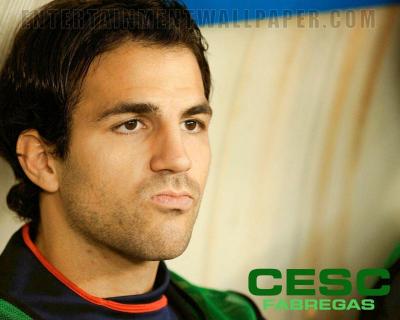 تصویر شماره 17 از آلبوم تصویر زمینه سسک فابرگاس (Cesc Fàbregas)