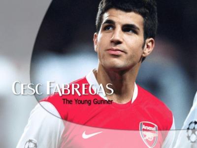 تصویر شماره 44 از آلبوم تصویر زمینه سسک فابرگاس (Cesc Fàbregas)