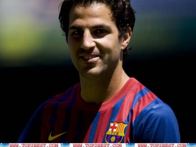 تصویر شماره 36 از آلبوم تصویر زمینه سسک فابرگاس (Cesc Fàbregas)