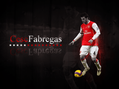 تصویر شماره 27 از آلبوم تصویر زمینه سسک فابرگاس (Cesc Fàbregas)