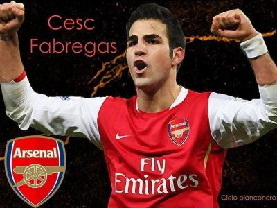 تصویر شماره 22 از آلبوم تصویر زمینه سسک فابرگاس (Cesc Fàbregas)