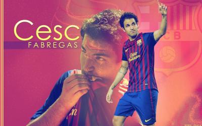 تصویر شماره 24 از آلبوم تصویر زمینه سسک فابرگاس (Cesc Fàbregas)