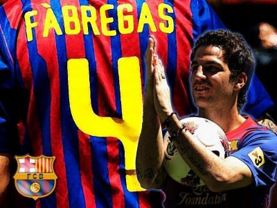 تصویر شماره 8 از آلبوم تصویر زمینه سسک فابرگاس (Cesc Fàbregas)