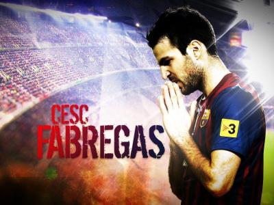 تصویر شماره 37 از آلبوم تصویر زمینه سسک فابرگاس (Cesc Fàbregas)