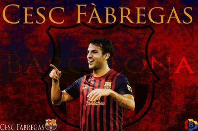 تصویر شماره 48 از آلبوم تصویر زمینه سسک فابرگاس (Cesc Fàbregas)