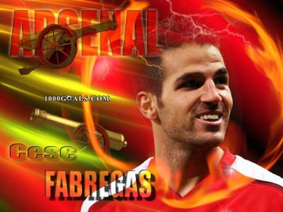 تصویر شماره 47 از آلبوم تصویر زمینه سسک فابرگاس (Cesc Fàbregas)