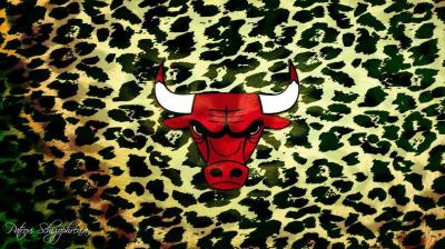 تصویر شماره 39 از آلبوم تصویر زمینه شیکاگو بولز (Chicago Bulls)