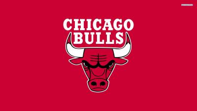 تصویر شماره 12 از آلبوم تصویر زمینه شیکاگو بولز (Chicago Bulls)