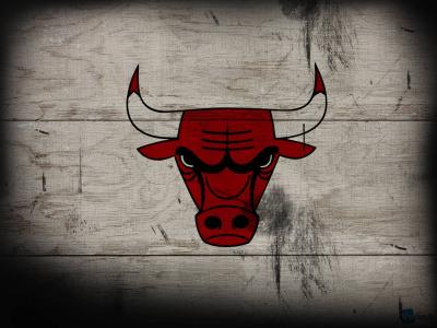 تصویر شماره 5 از آلبوم تصویر زمینه شیکاگو بولز (Chicago Bulls)