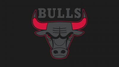 تصویر شماره 26 از آلبوم تصویر زمینه شیکاگو بولز (Chicago Bulls)