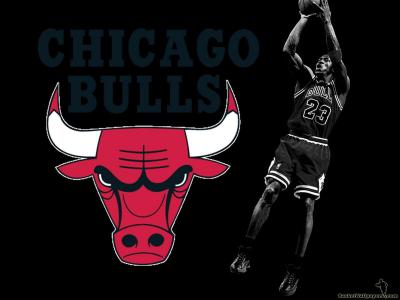 تصویر شماره 20 از آلبوم تصویر زمینه شیکاگو بولز (Chicago Bulls)