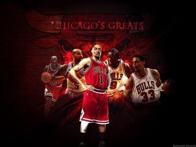 تصویر شماره 42 از آلبوم تصویر زمینه شیکاگو بولز (Chicago Bulls)