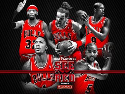 تصویر شماره 24 از آلبوم تصویر زمینه شیکاگو بولز (Chicago Bulls)