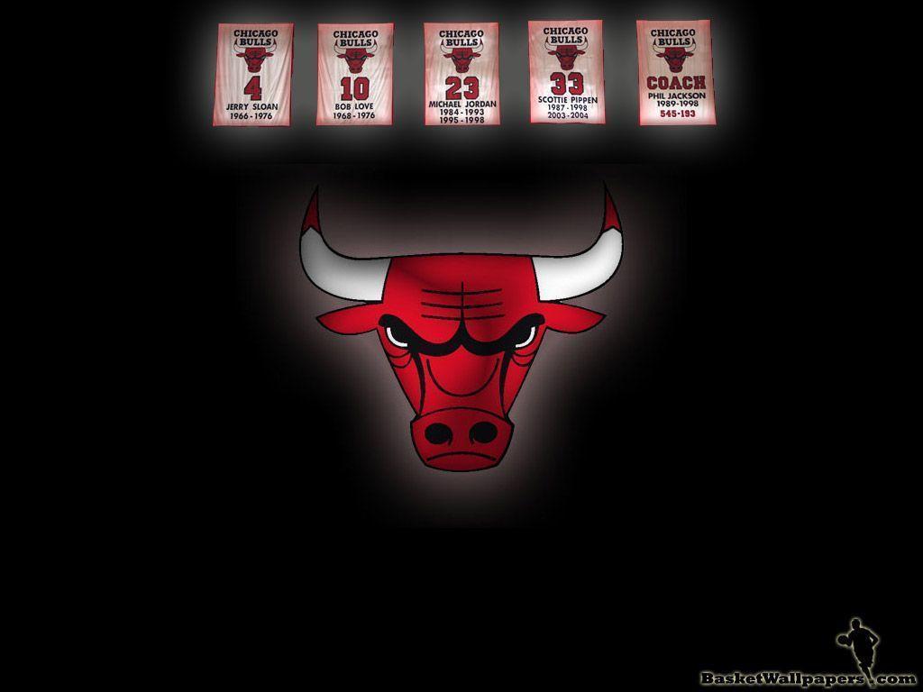 شیکاگو بولز (Chicago Bulls)