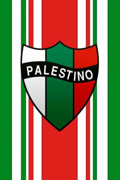 تصویر شماره 8 از آلبوم تصویر زمینه باشگاه ورزشی پالستینو (Club Deportivo Palestino)