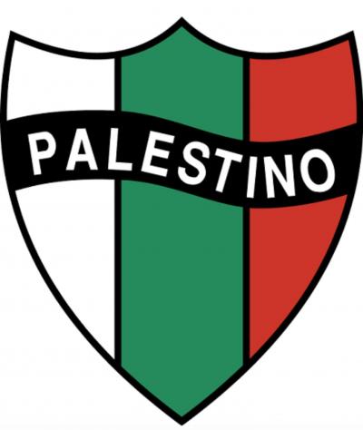 تصویر شماره 9 از آلبوم تصویر زمینه باشگاه ورزشی پالستینو (Club Deportivo Palestino)