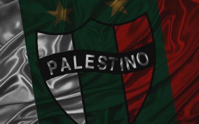 تصویر شماره 4 از آلبوم تصویر زمینه باشگاه ورزشی پالستینو (Club Deportivo Palestino)