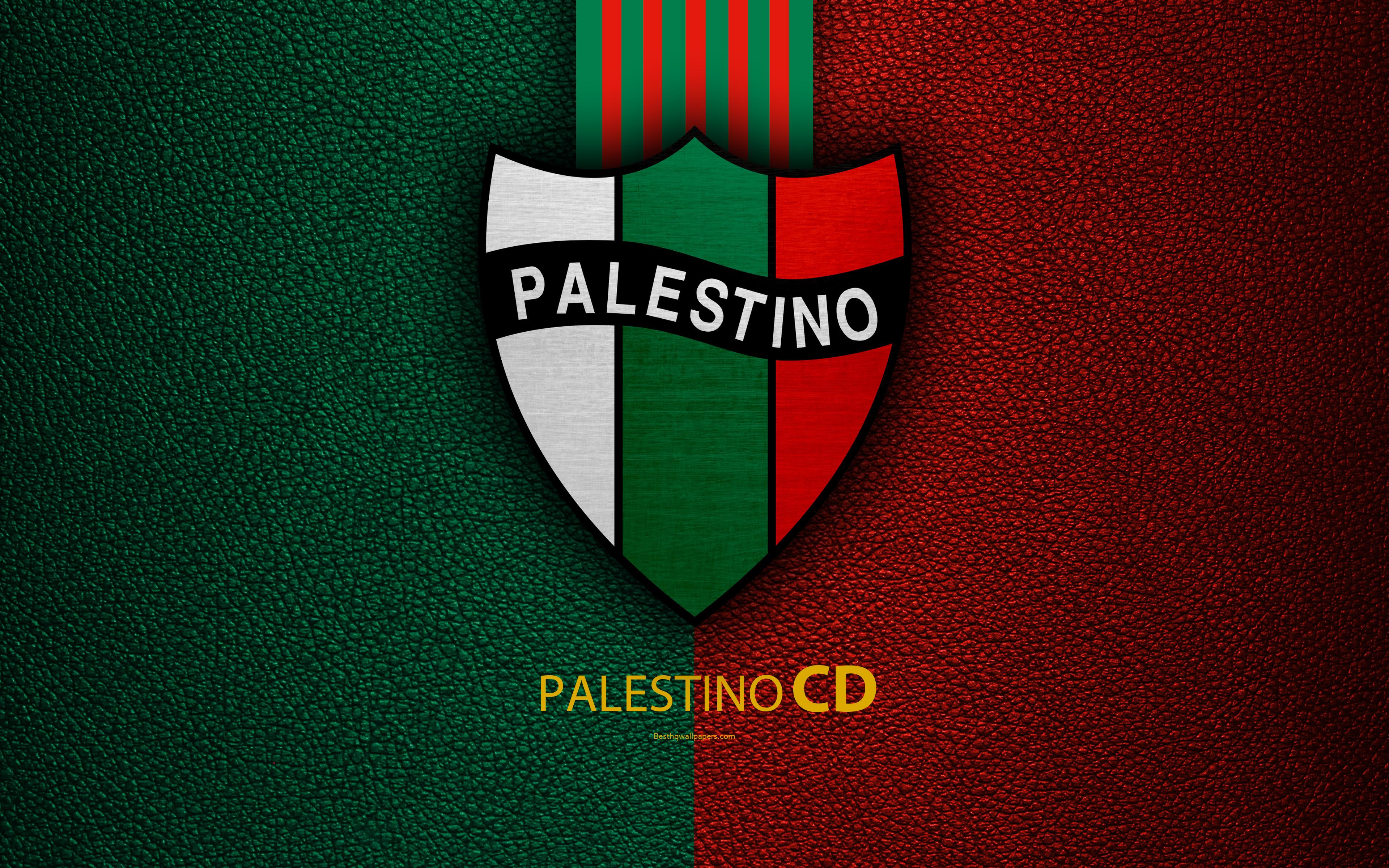 باشگاه ورزشی پالستینو (Club Deportivo Palestino)