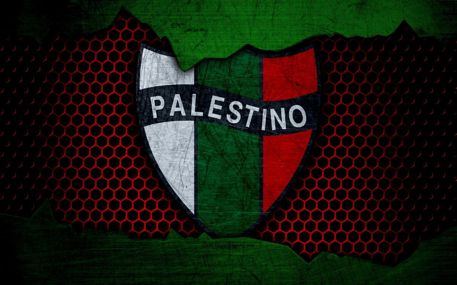 باشگاه ورزشی پالستینو (Club Deportivo Palestino)