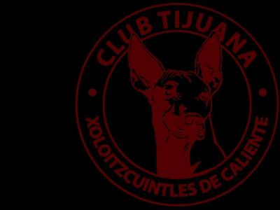 تصویر شماره 27 از آلبوم تصویر زمینه باشگاه فوتبال تیخوانا (Club Tijuana)