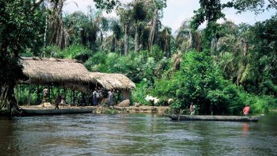 تصویر شماره 13 از آلبوم تصویر زمینه جمهوری دموکراتیک کنگو (Democratic Republic of the Congo)