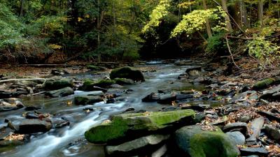 تصویر شماره 32 از آلبوم تصویر زمینه پارک ملی دره کویاهوگا (Cuyahoga Valley National Park)