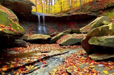 تصویر شماره 9 از آلبوم تصویر زمینه پارک ملی دره کویاهوگا (Cuyahoga Valley National Park)