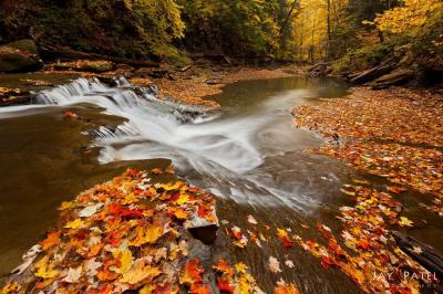 تصویر شماره 35 از آلبوم تصویر زمینه پارک ملی دره کویاهوگا (Cuyahoga Valley National Park)