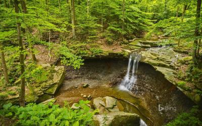 تصویر شماره 14 از آلبوم تصویر زمینه پارک ملی دره کویاهوگا (Cuyahoga Valley National Park)