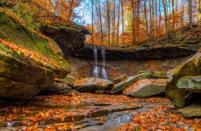 تصویر شماره 13 از آلبوم تصویر زمینه پارک ملی دره کویاهوگا (Cuyahoga Valley National Park)