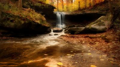 تصویر شماره 5 از آلبوم تصویر زمینه پارک ملی دره کویاهوگا (Cuyahoga Valley National Park)