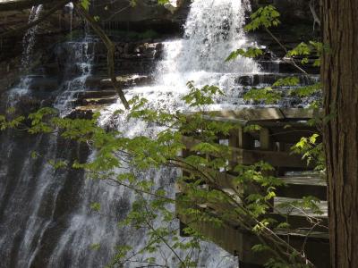 تصویر شماره 10 از آلبوم تصویر زمینه پارک ملی دره کویاهوگا (Cuyahoga Valley National Park)