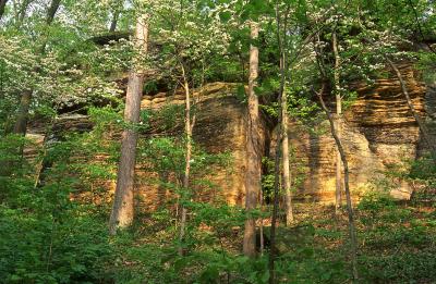 تصویر شماره 8 از آلبوم تصویر زمینه پارک ملی دره کویاهوگا (Cuyahoga Valley National Park)