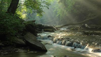 تصویر شماره 37 از آلبوم تصویر زمینه پارک ملی دره کویاهوگا (Cuyahoga Valley National Park)