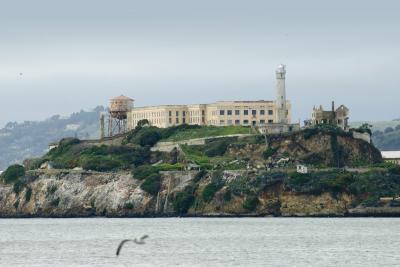 تصویر شماره 29 از آلبوم تصویر زمینه جزیره آلکاتراز (Alcatraz Island)