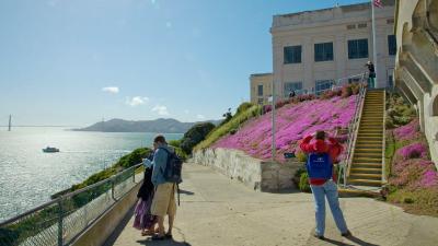 تصویر شماره 47 از آلبوم تصویر زمینه جزیره آلکاتراز (Alcatraz Island)